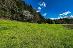 Grundstück
