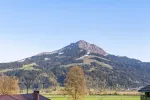 Ausblick